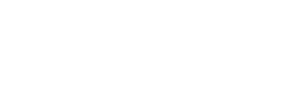 2Sync_Logo_light