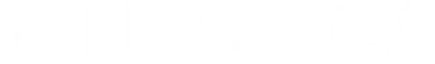 anecoica_logo_schrift